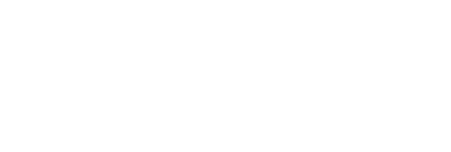 TigerVision